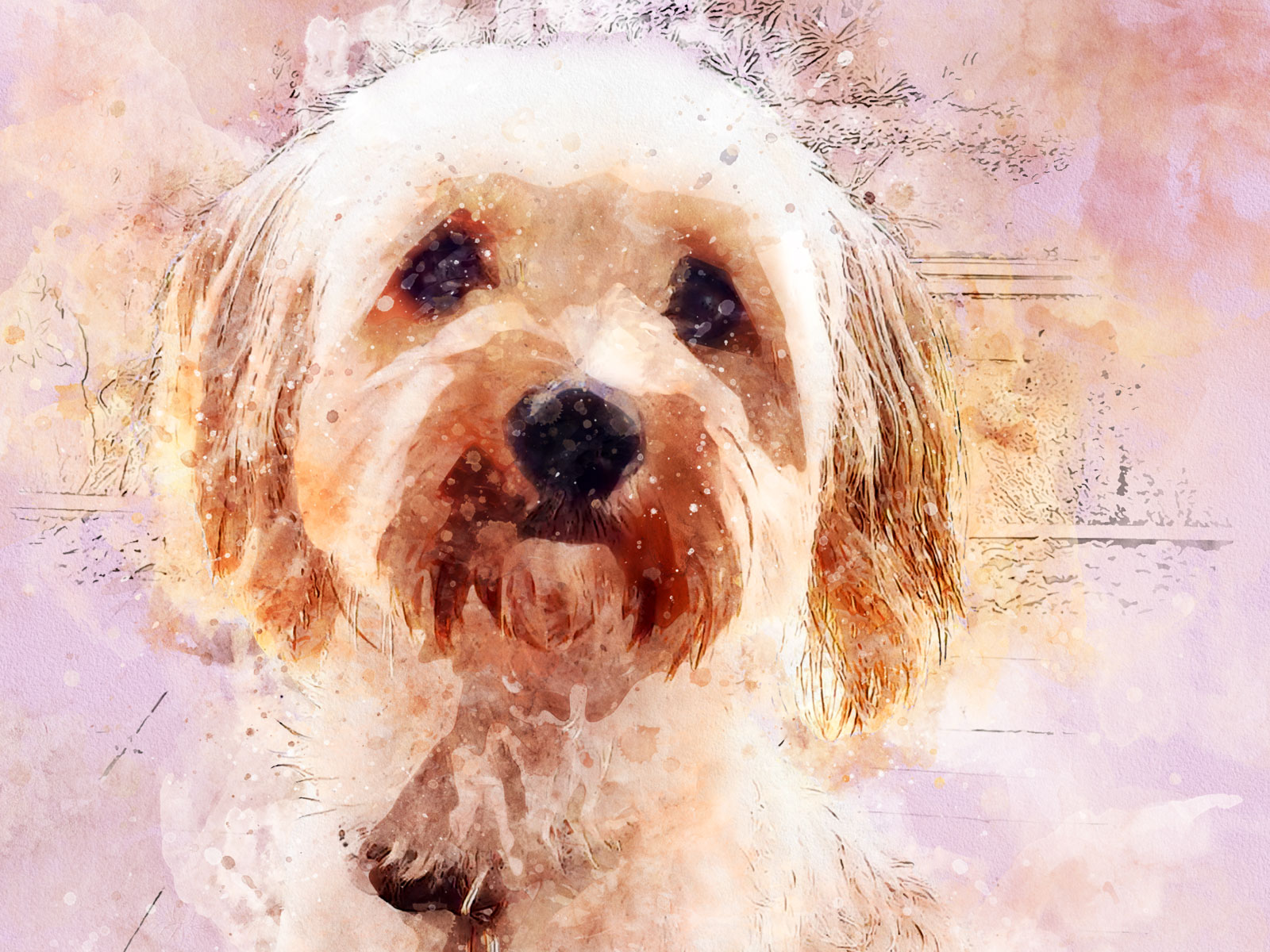 Watercolour Artist - Milly after